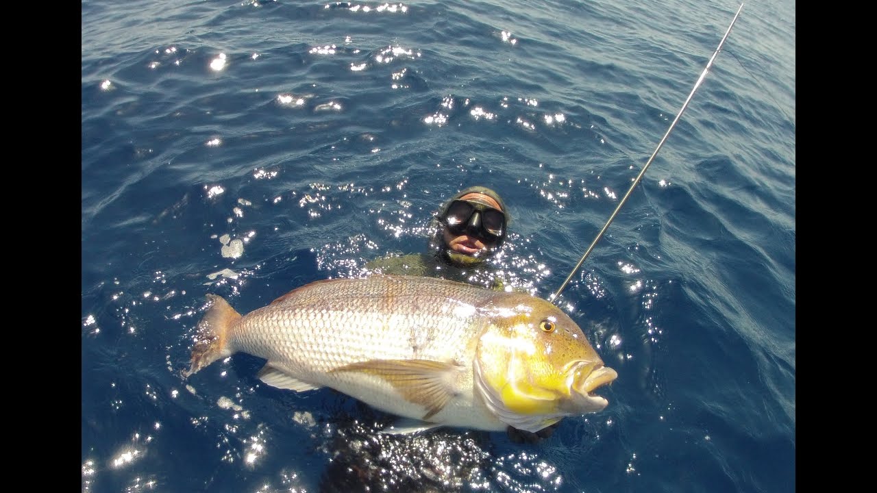 Pescasub: Compilation catture Eudi Show 2023 del 29 Novembre 2023