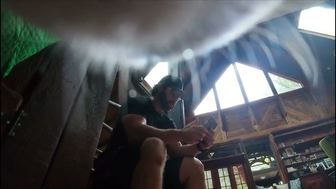 Kitten Camera Adjustment (kitten POV)