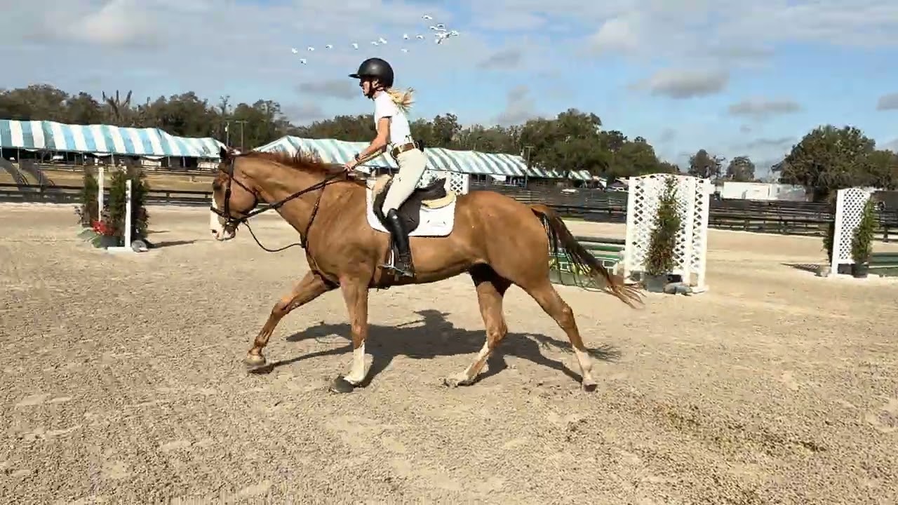 Sloan hits schooling 
