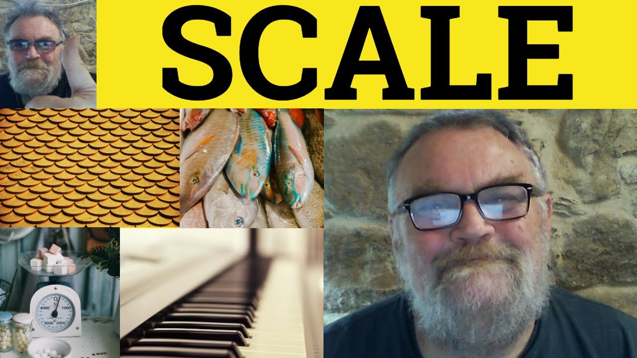 🔵 Scale Meaning - Scales Definition - Scale Examples - Multi Meaning Words - Scale