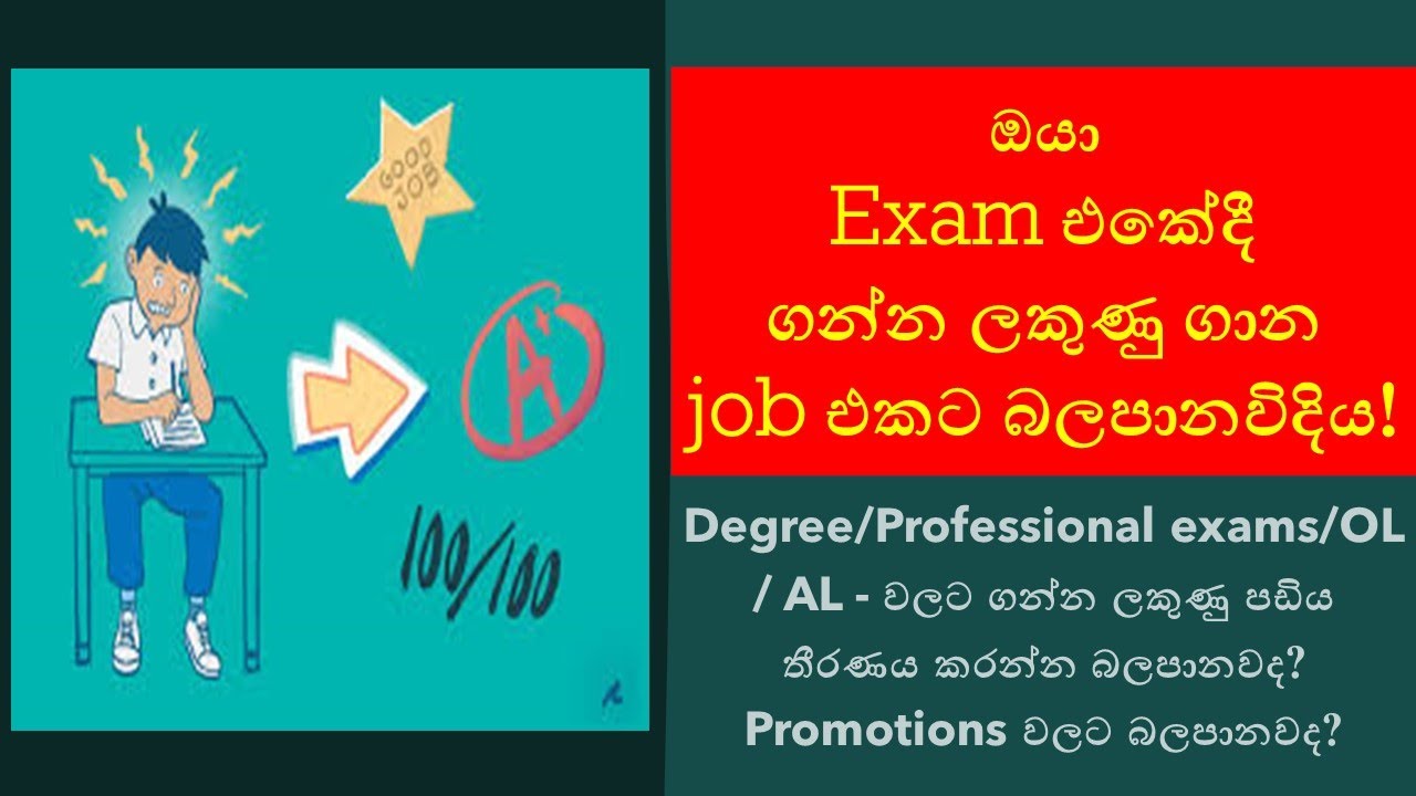 How Much Do Your Exam Scores Affect Your Job Prospects