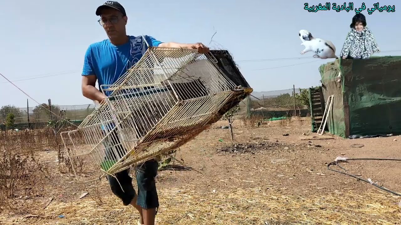 تطهير اقفاص الأرانب بالنار  🔥 لازلنا نقاوم و قوتنا هي الولاعة 😁