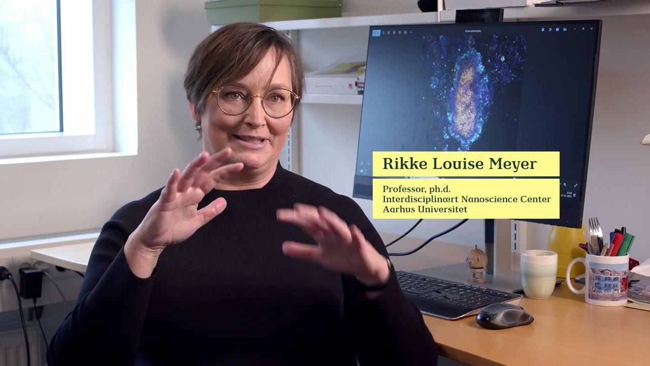 På sporet af mikrobiologiske processer bag dannelsen af biofilm