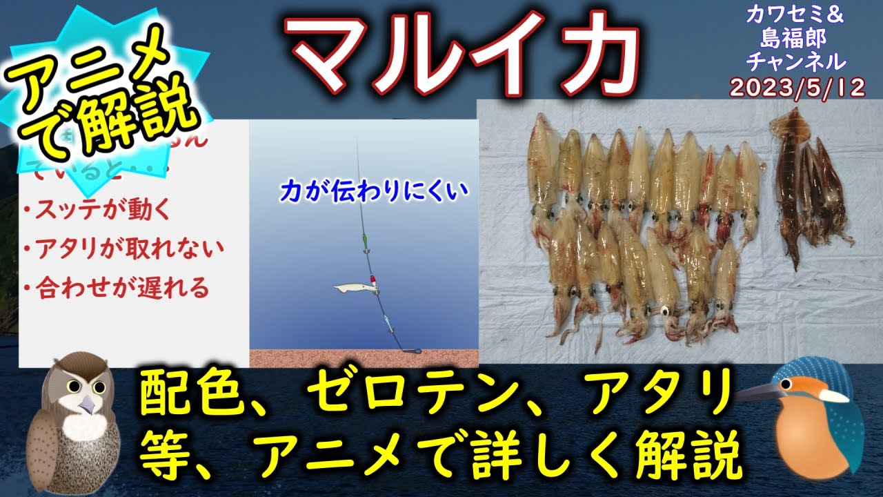 《アニメで解説：【マルイカ】の釣り方》【マルイカ釣り】の釣り方について解説。【ゼロテン】【スッテの配色】【タタキ】【あたり】についてアニメで詳しく解説します。