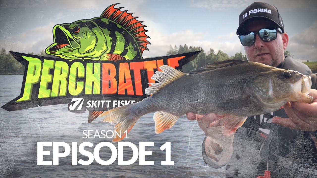PerchBattle S1 - Ep1 - Skittfiske.no