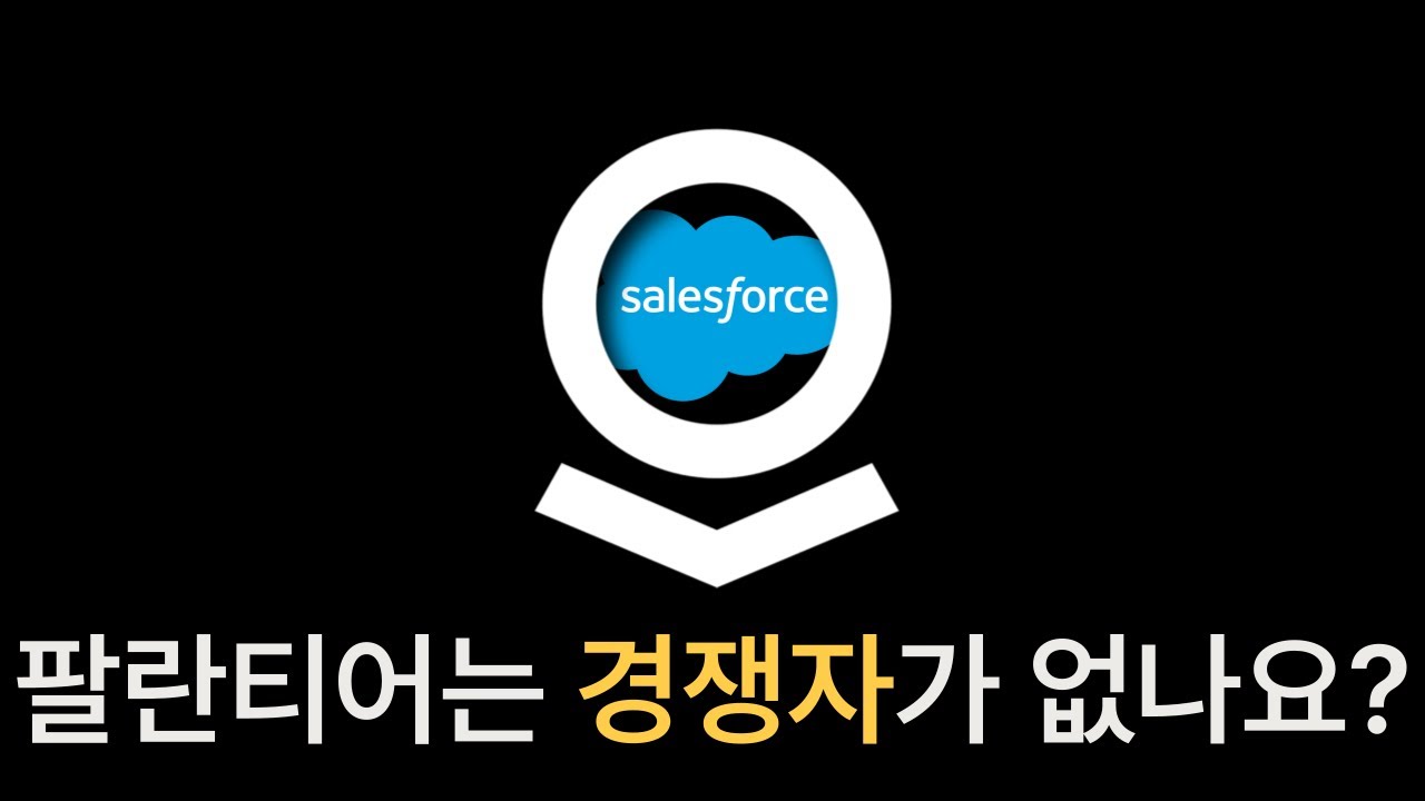 팔란티어 경쟁자요? 네, 없습니다