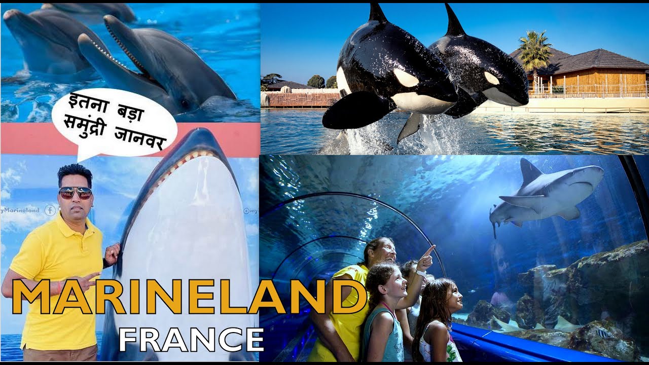 Largest Marine Animal Park in Europe I Marineland 2022