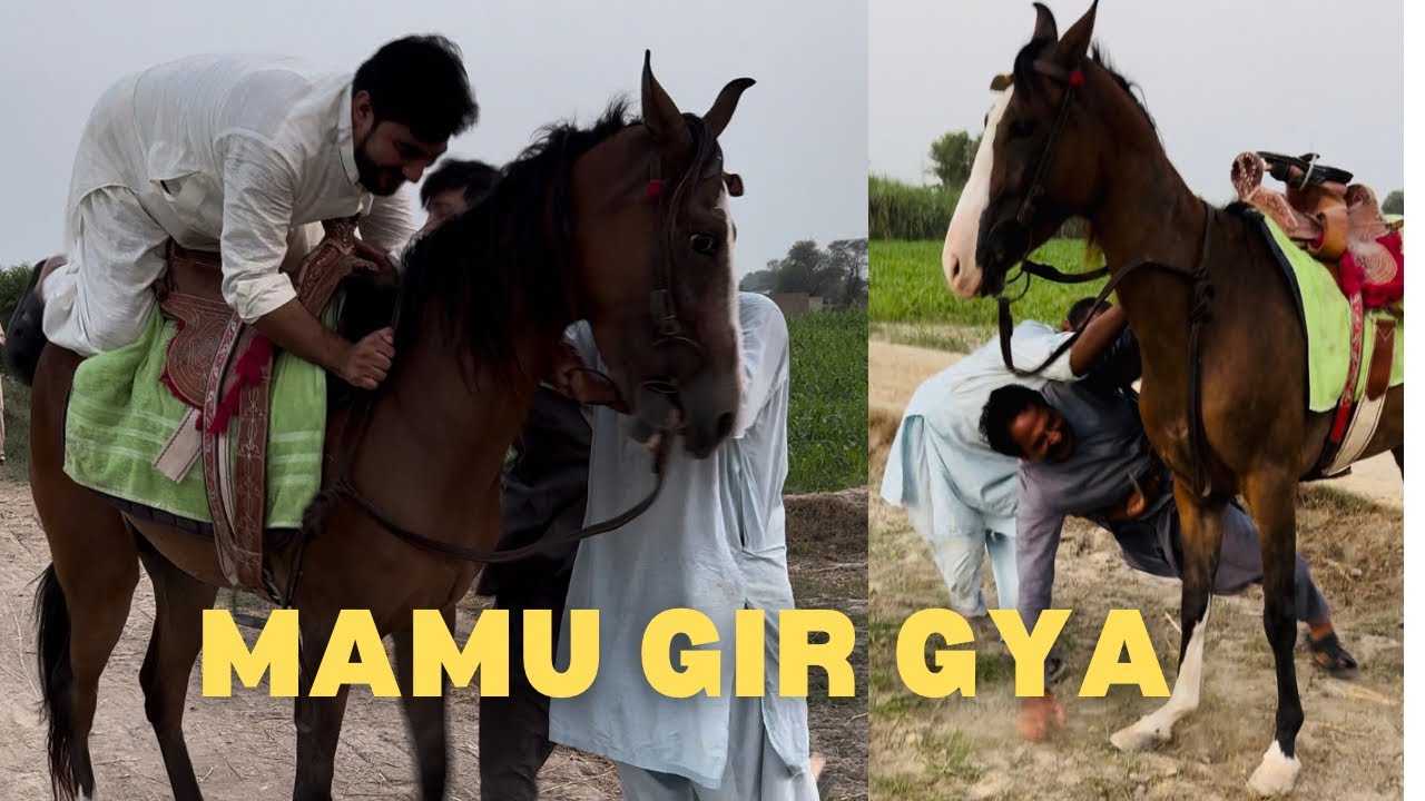 Horse Riding | Mamu Gir Gya 🤣🤣🤣