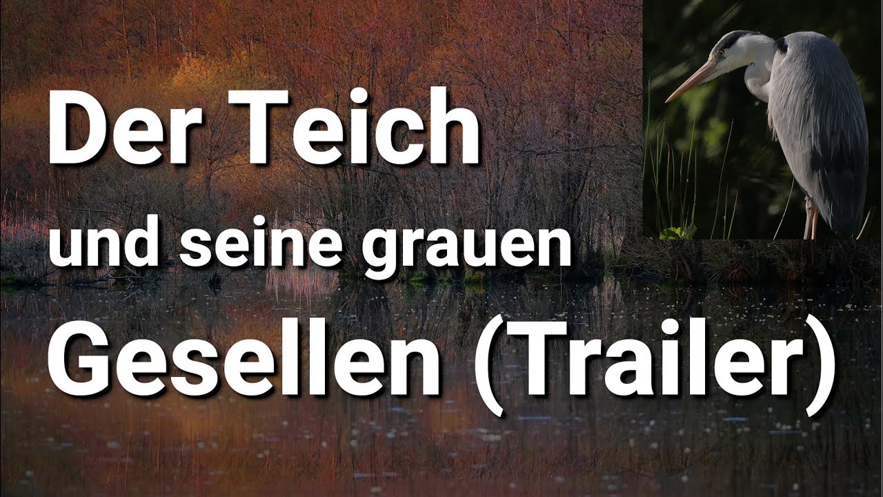 Der Teich und seine grauen Gesellen (2025) - Naturdoku von Thomas Stock/ Trailer