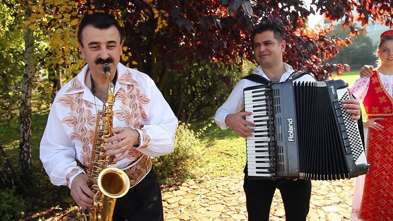 DAN NISTOR-DRUMUL VIETI