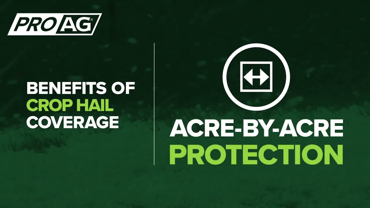 Breaking Down the Basics of Crop Hail Insurance in 30 Seconds