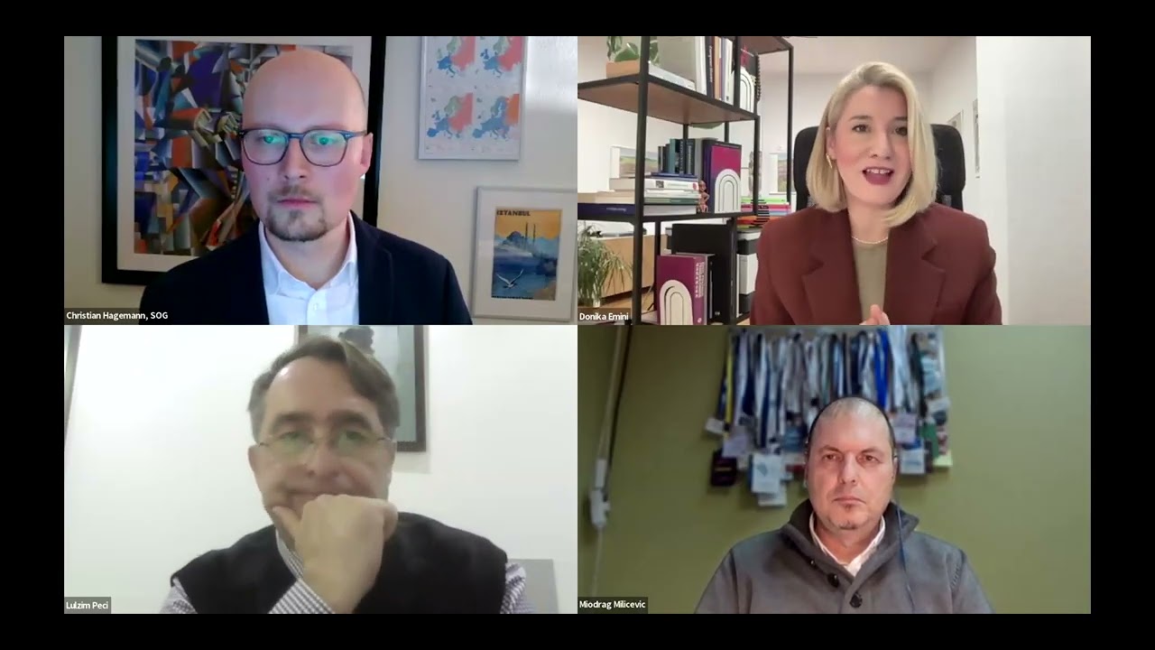Online Discussion | Early Elections in Kosovo – the Way out of the Crisis?
