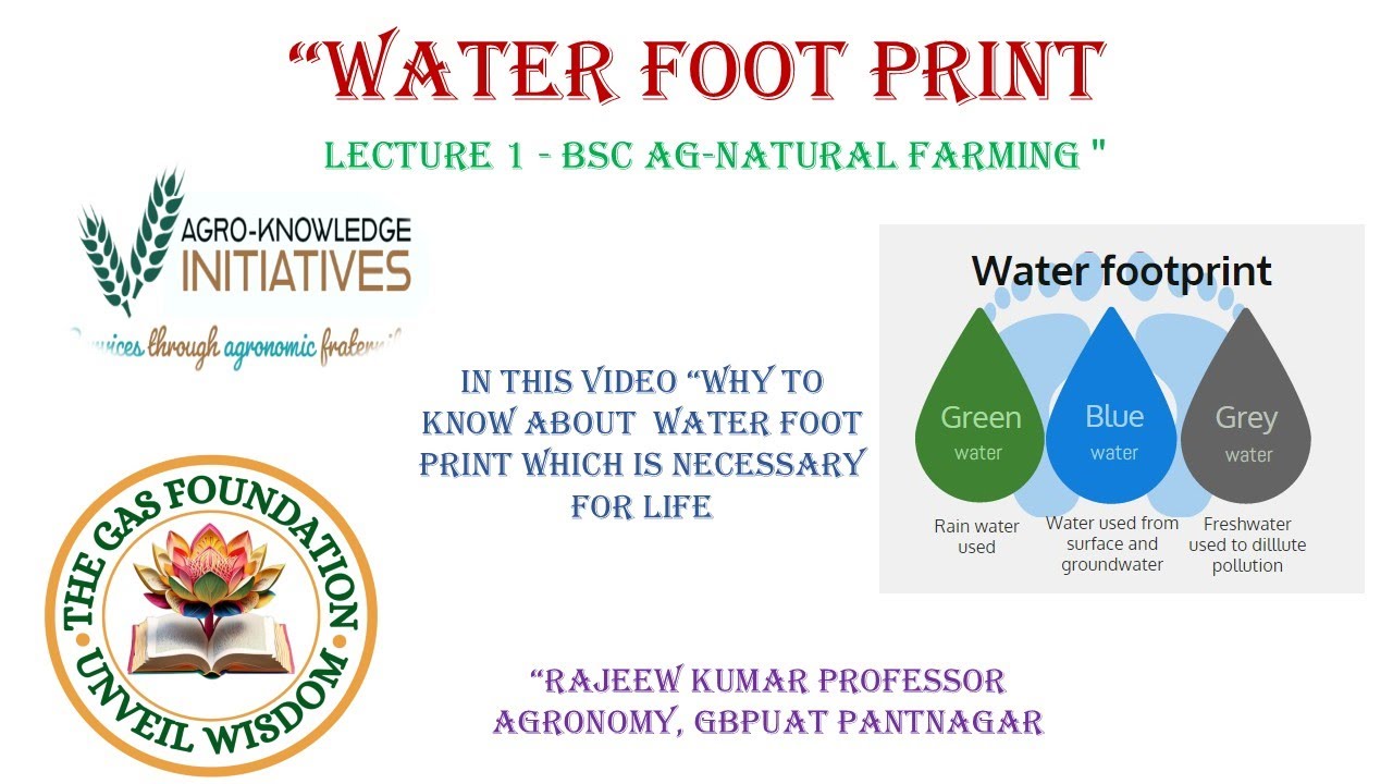 HOW TO KNOW WHAT IS WATER FOOT PRINT 