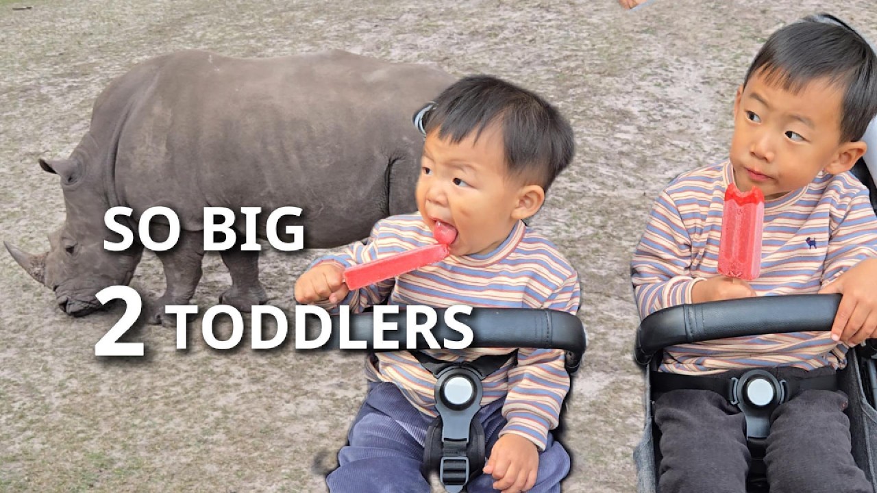 A Day at Jacksonville Zoo | So Big, 2 Toddlers 🦏