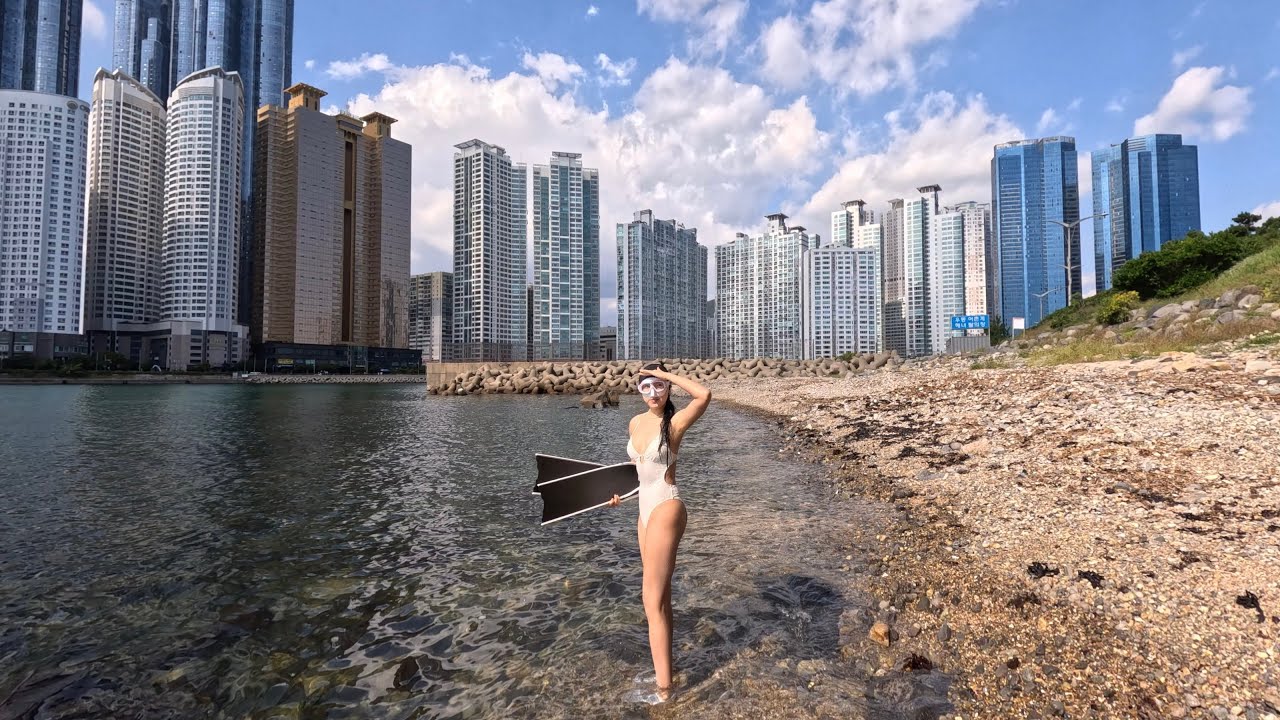 도심 한복판 바다에서 스노클링 가능? 광안대교까지 보이는 곳 | 부산 해운대 동백섬 스노클링