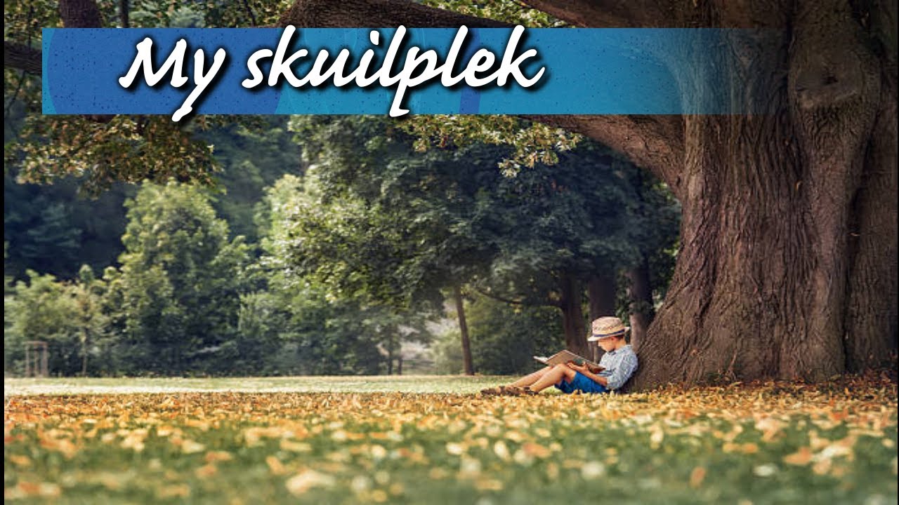 My skuilplek