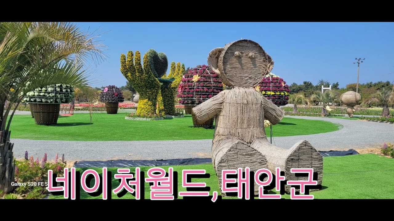#네이처월드#태안군#Chungnam Taean County #NatureWorld #SpringFlower Festival