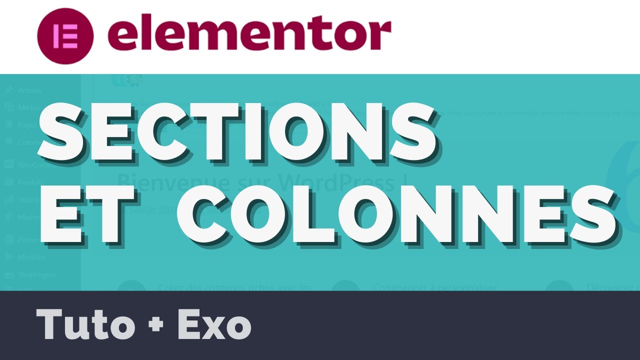 Elementor : tutoriel sur les sections et les colonnes
