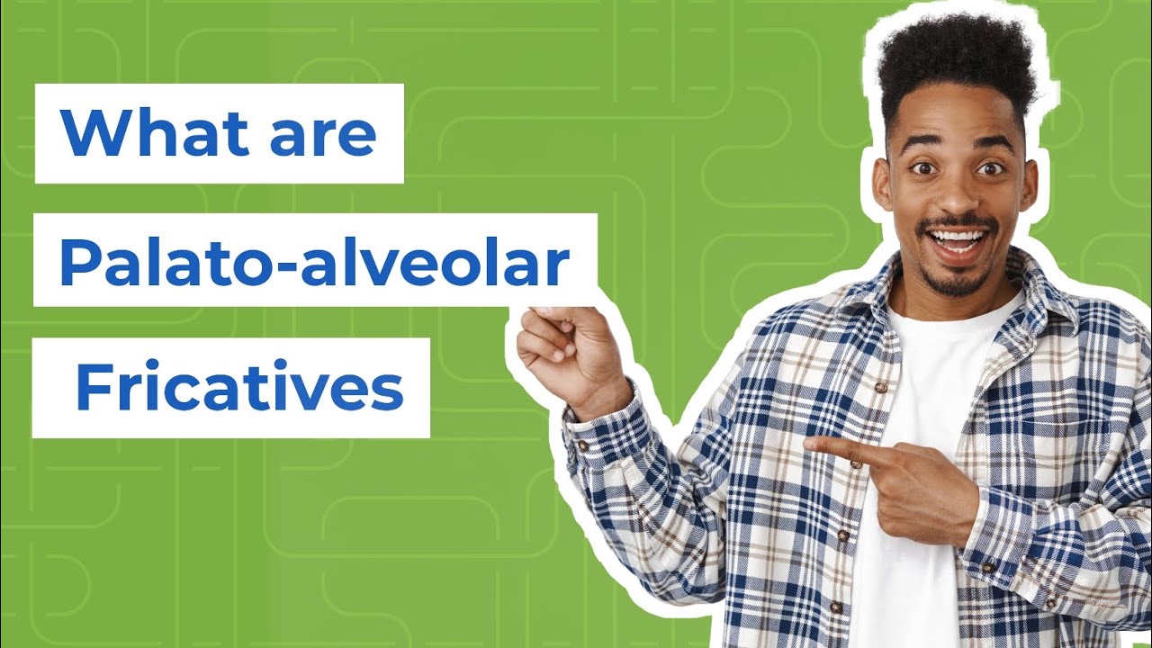 Palato-alveolar Fricatives in English Explained with Examples