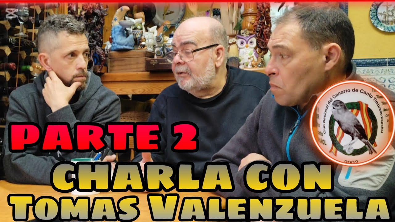 CRÍA del TIMBRADO ESPAÑOL ORIGINAL 💯🎶 y MAS...👈