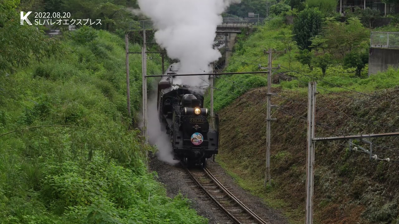 2022年8月20日 秩父鉄道SLパレオエクスプレス