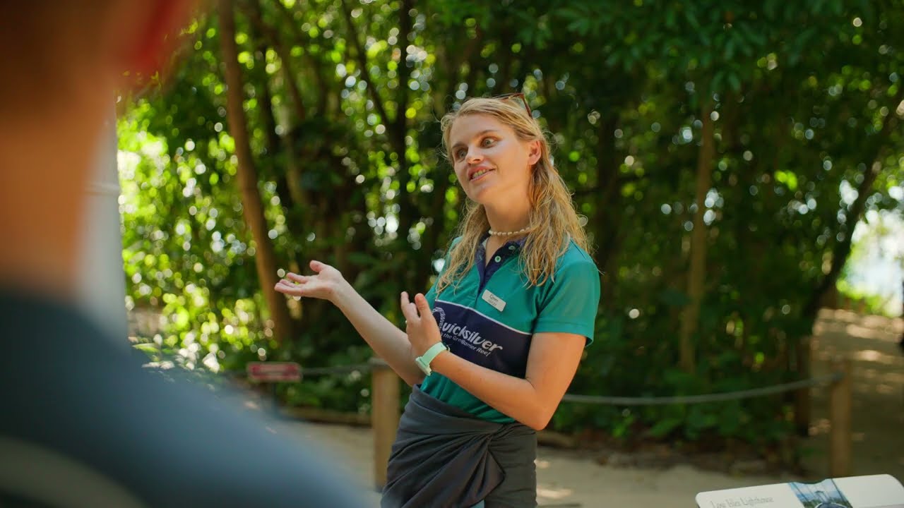 Wavedancer Low Isles