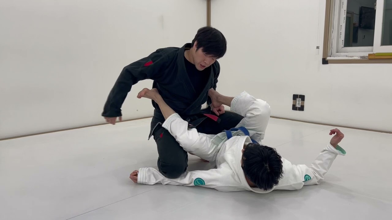 라쏘 스파이더 가드 패스의 원리 PASSING LASSO GUARD