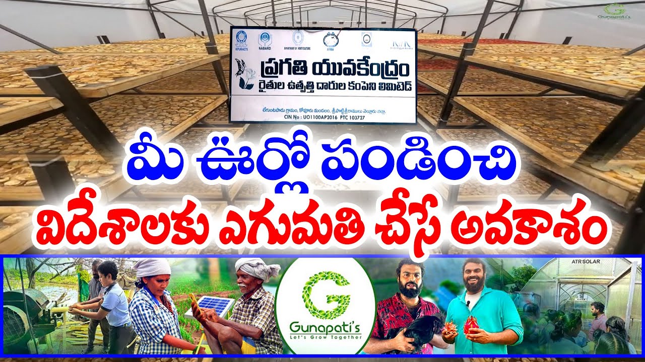 Group of Young Farmers from Nellore | Strives Hard to Create Awareness Over Organic Farming || Yuva