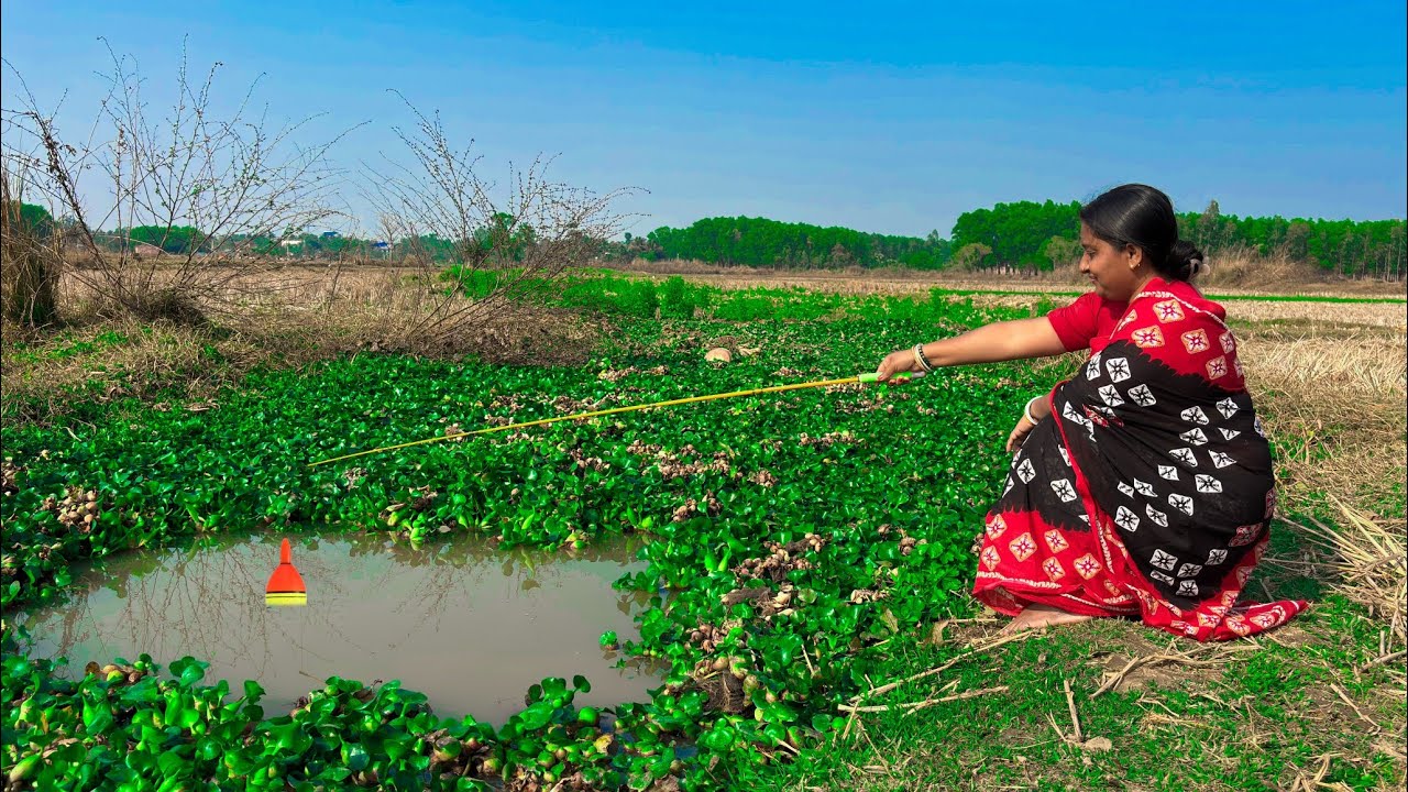 Fishing Video || The Village Lady Knows the Best Technique and Bait to Fishing in Rice Field Canal