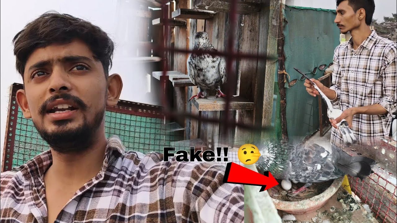 Fake!! RoLLer 🕊️ ka Pata Nhi Chla 🤥