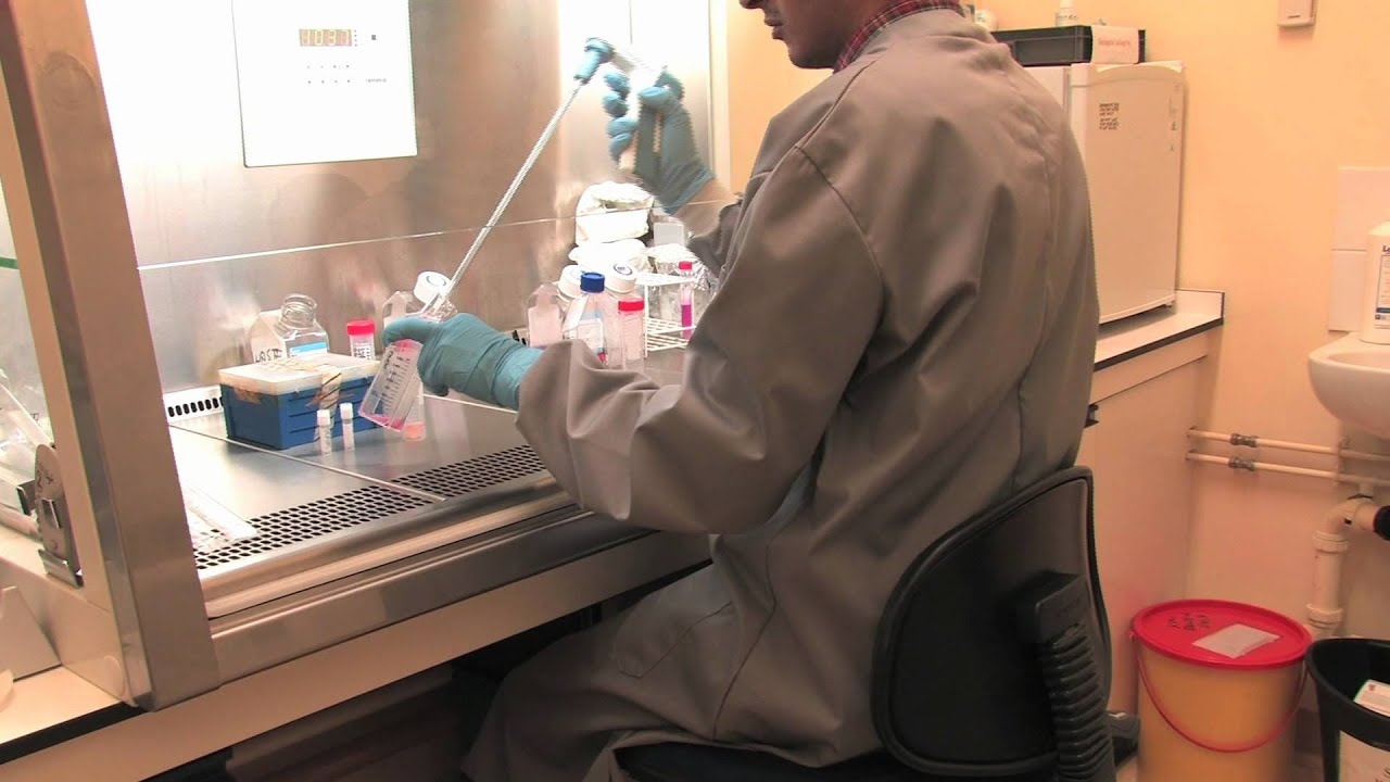 Medical Science: Cell Culture Part 3