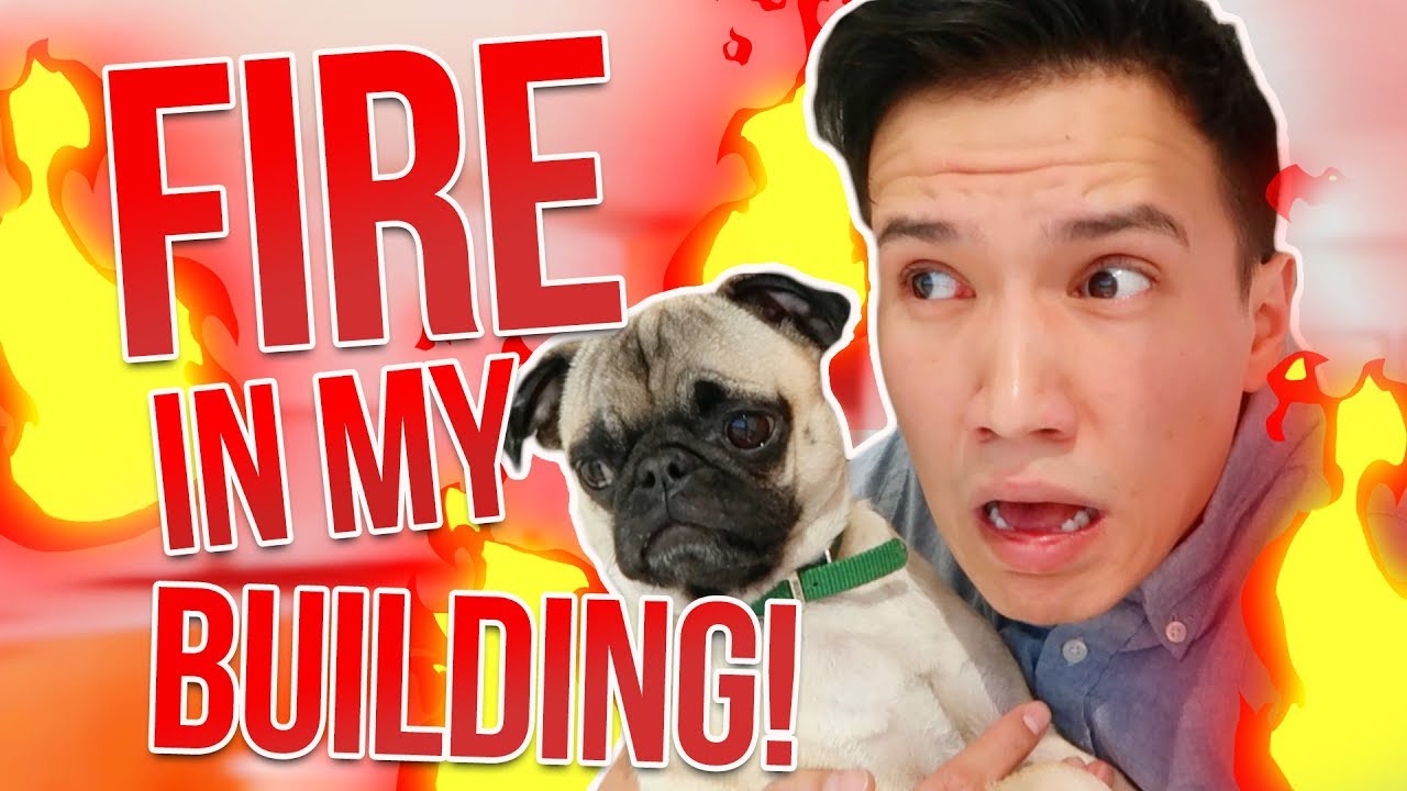 Fire in my building!! (On my floor!)