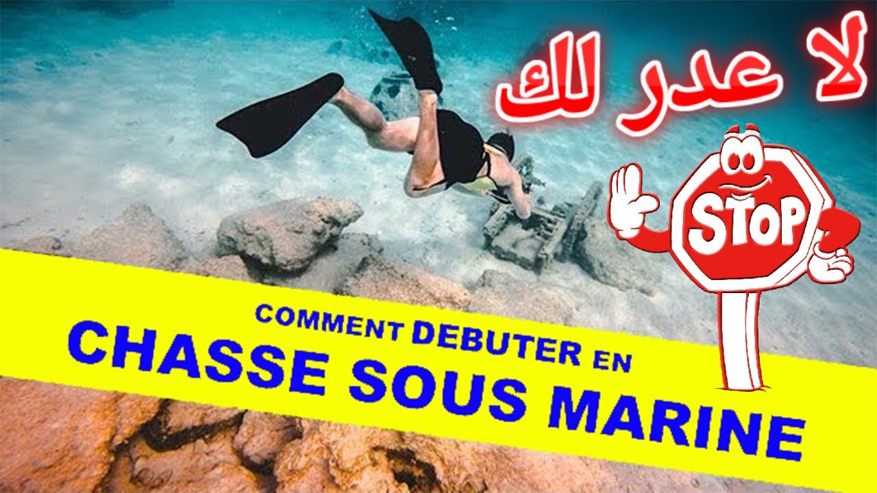 🐟 لكل من يخاف من  الماء /فيديو تحفيزي لتعلم الصيد تحت الماء و الغوص الحر  👈💯