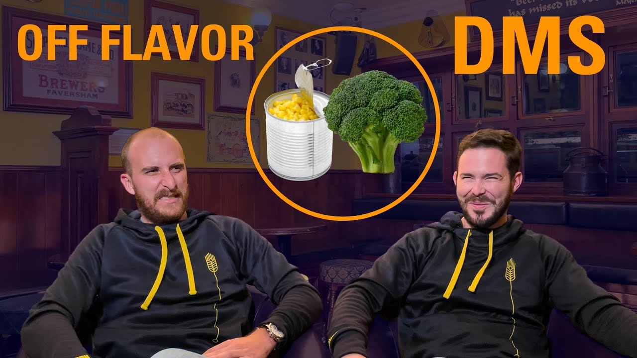 Qué Es el DMS en la Cerveza? Por qué se origina? Cómo Identificarlo [GUÍA COMPLETA]