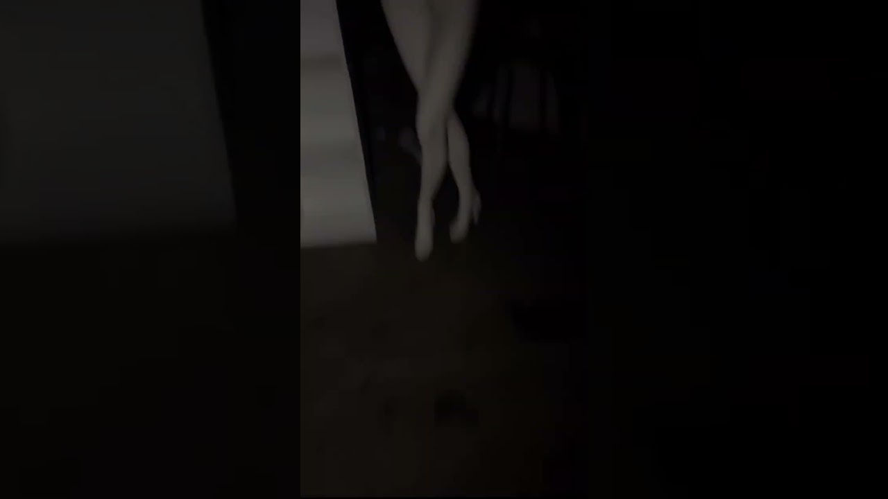 POV: warehouse containing $12,500 Ikea Family Guy Shelf #familyguy #quagmire