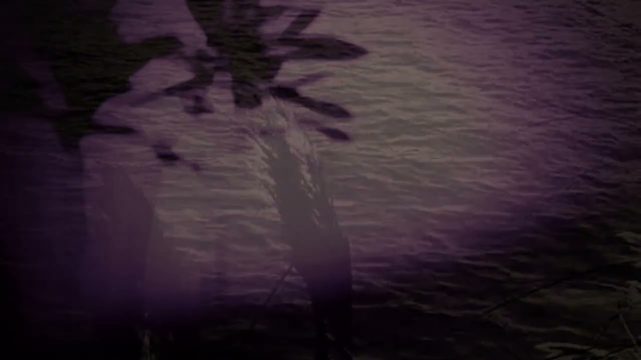 The June Carriers - No Wealth, No Ruin (Official Video)
