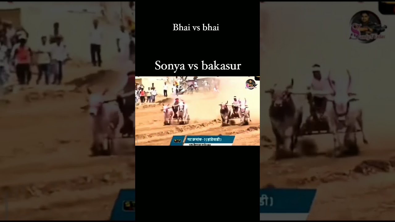 SONYA vs BAKASUR 🔥🦁