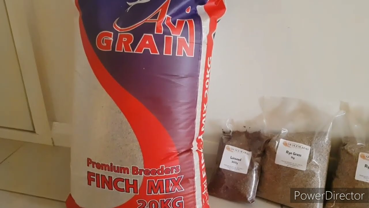 How i make my my finch seed mix