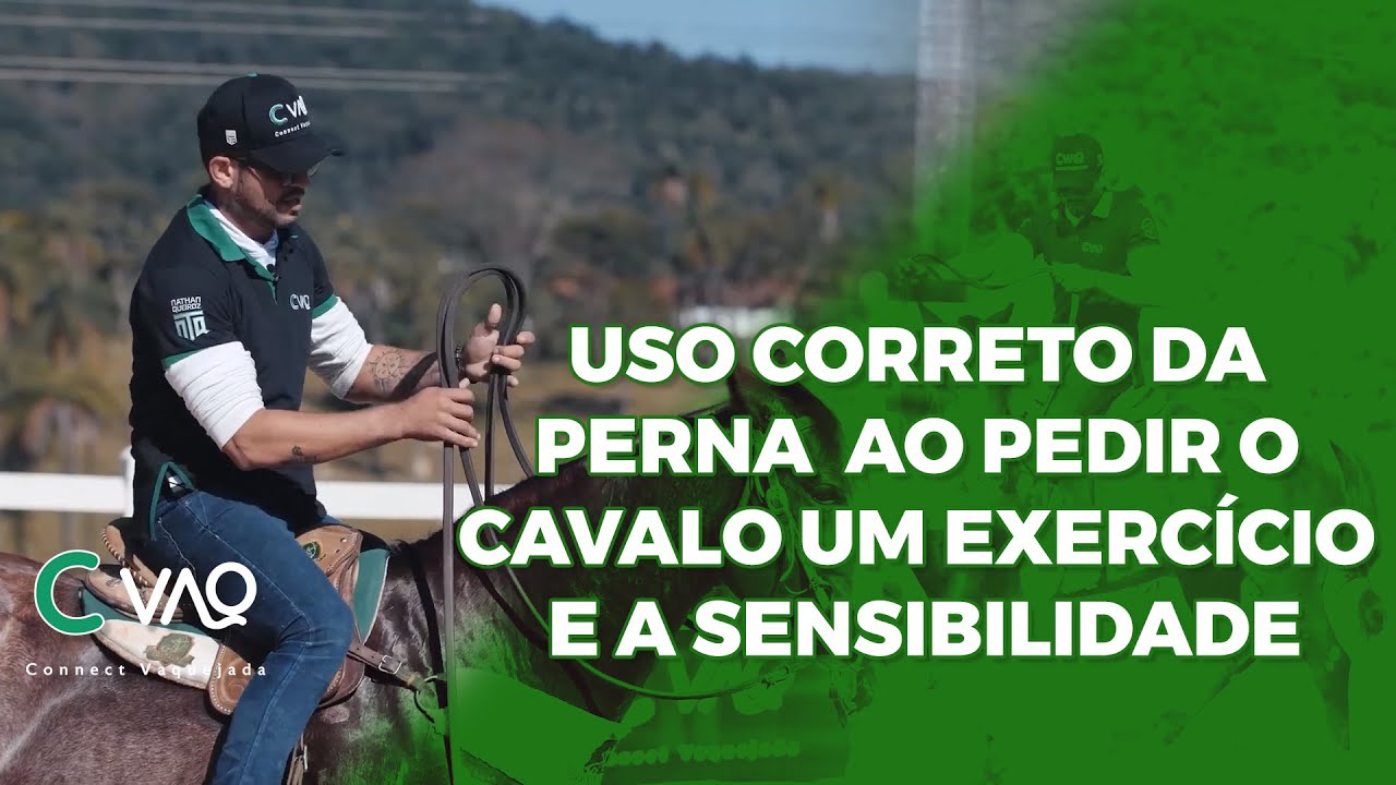 Uso Correto da Perna ao Pedir o Cavalo um Exercício e a Sensibilidade | Connect Vaquejada