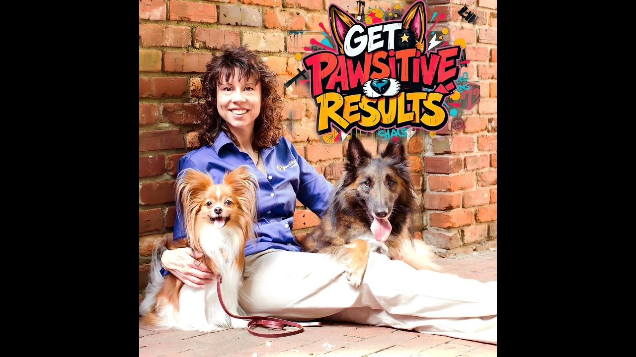 Get Pawsitive Results - Episode 13 Santa Paws