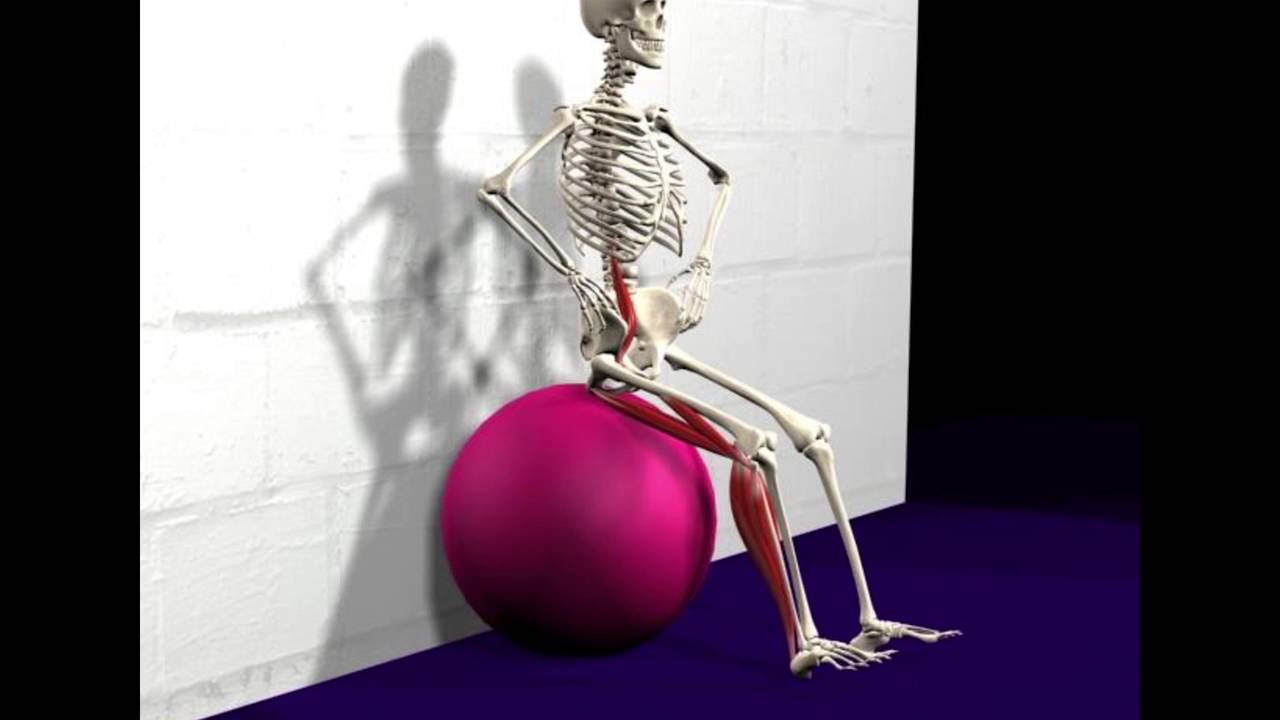 Dr. Gill Solberg -The Origin of Misalignment in Yoga Postures – Common Kinetic Chains