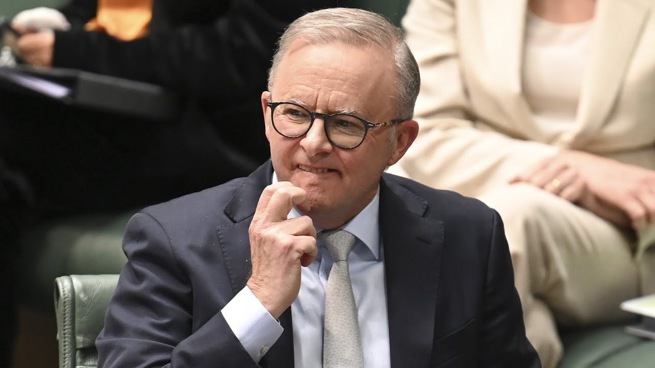 ‘Zero chance’ Anthony Albanese can win majority government