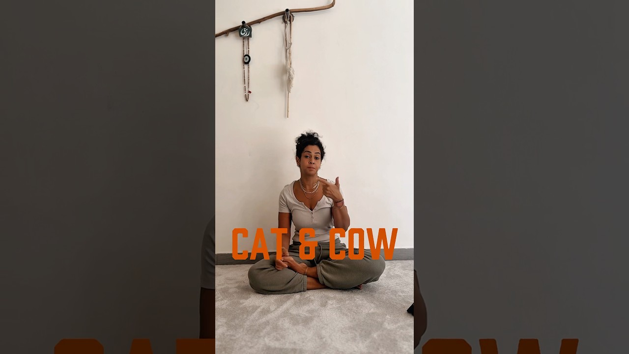 Cat and Cow Breath work 🐈 