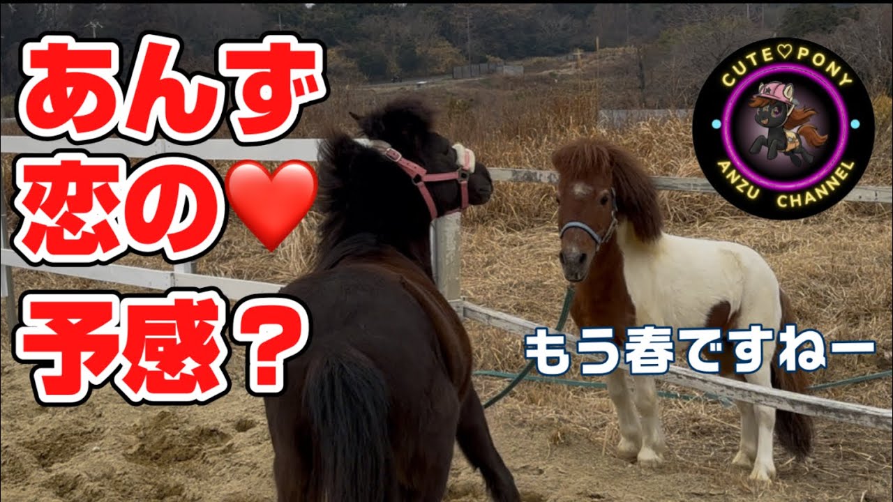 あんずちゃん恋の❤️予感？