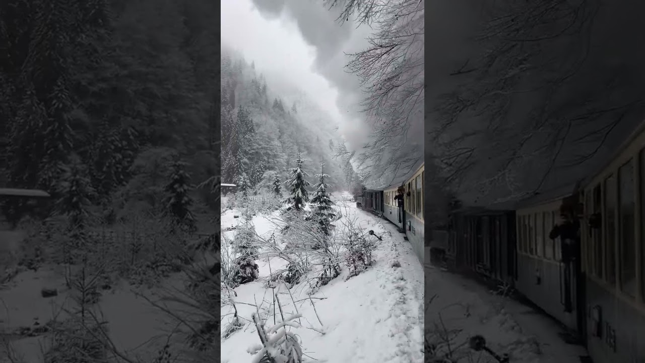 #🚂 