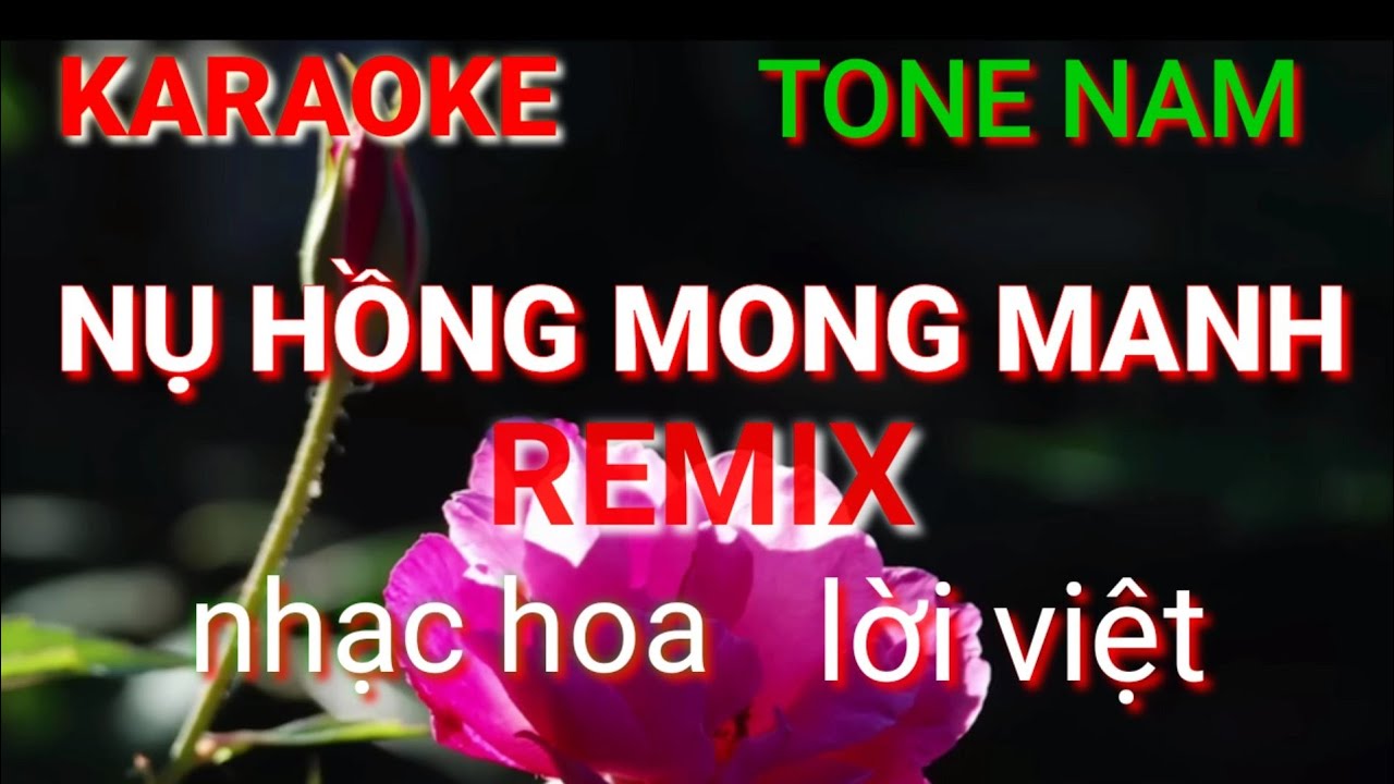 Nụ hồng mong manh karaoke remix tone nam