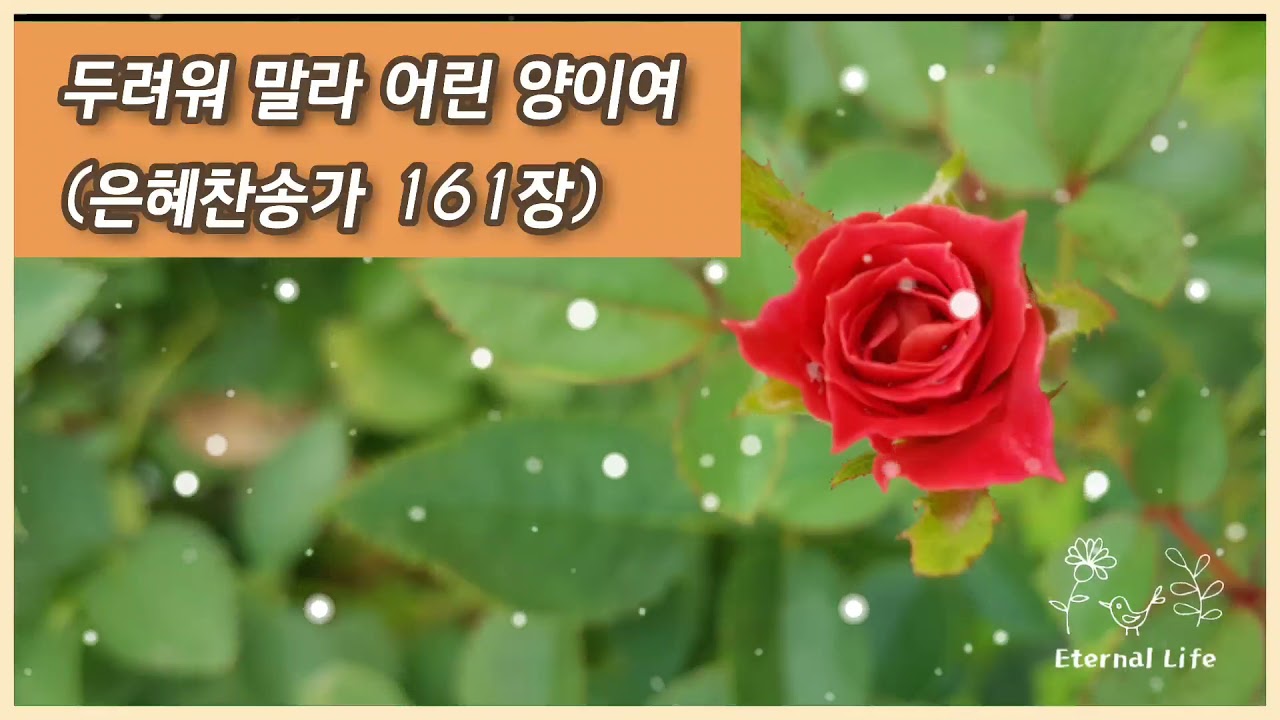 두려워 말라 어린 양이여(은혜찬송가161장)