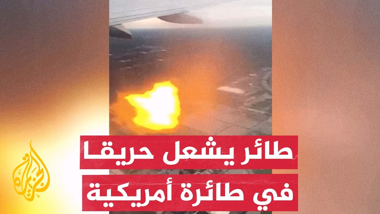 شاهد| لحظة اشتعال النيران بطائرة بعد اصطدام طائر بمحركها