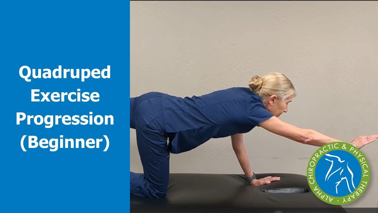 Quadruped Exercise Progression (Beginner)