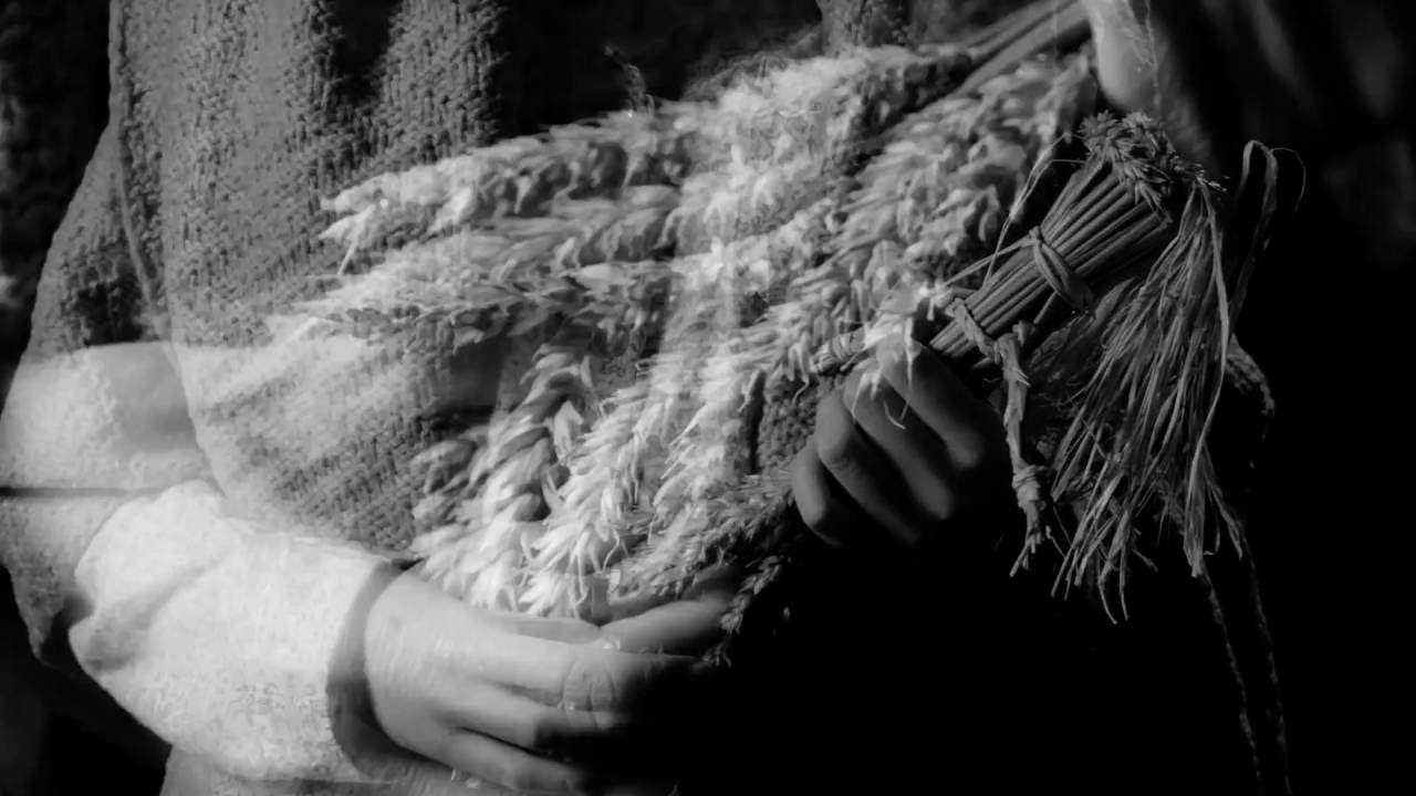 Grain in the Blood trailer